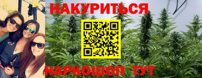 молекула духа Можайск