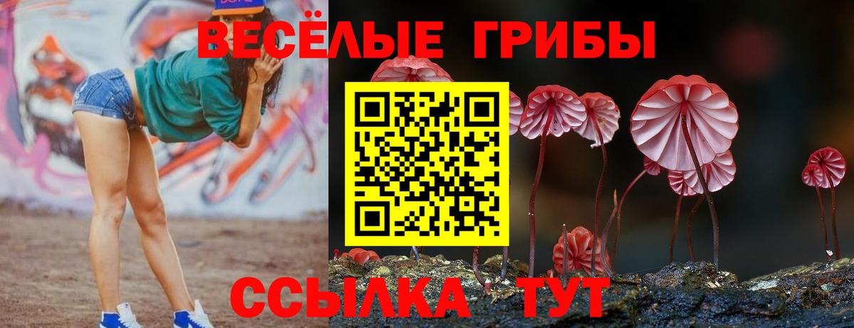 Псилоцибиновые грибы ЛСД  Вход с VPN  Курган 