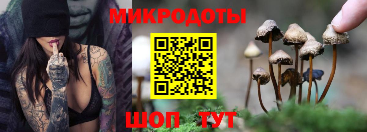 Галлюциногенные грибы мицелий Курган
